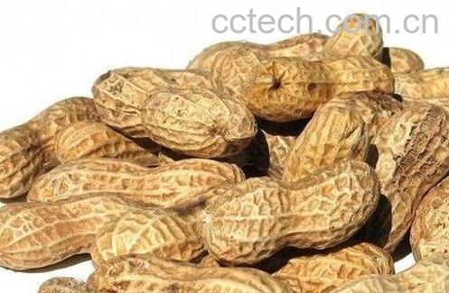 花生外壳的功效与作用-0