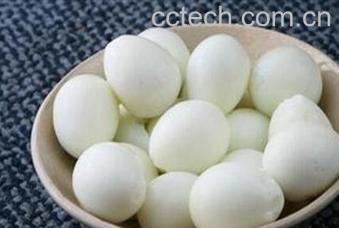 鹌春蛋的营养价值-0