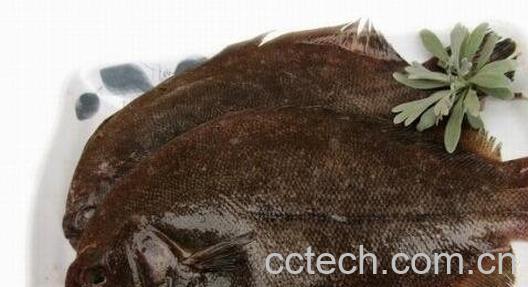 左口鱼的营养价值-0