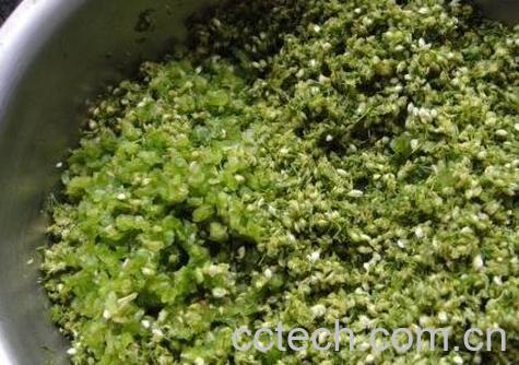 韭菜花的功效与作用及禁忌-0