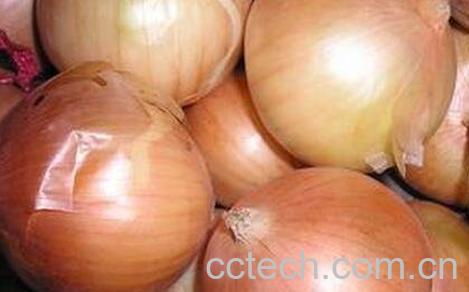 紫元葱和黄元葱营养价值有何不同-0