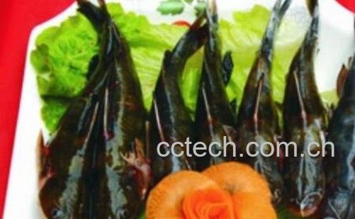 昂丁鱼的营养价值-0