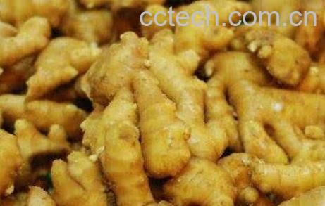 吃姜的好处和坏处-0