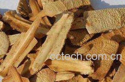  甲鱼壳的药用价值-0