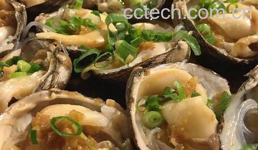 紫石房蛤的营养价值-0