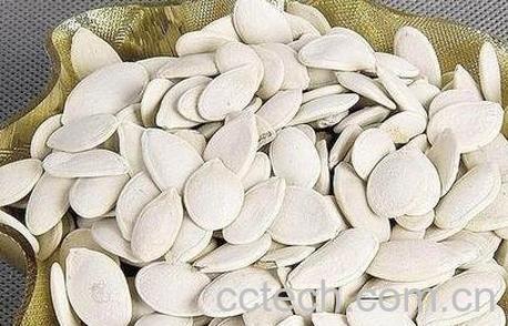 北瓜籽的功效与作用-0