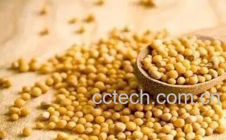 白芥菜籽的功效与作用-0