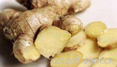 吃生姜的功效与作用-0