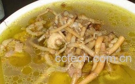 折耳根熬汤好处-0