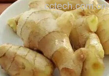 吃生姜的最佳时间 吃生姜的正确方法-0
