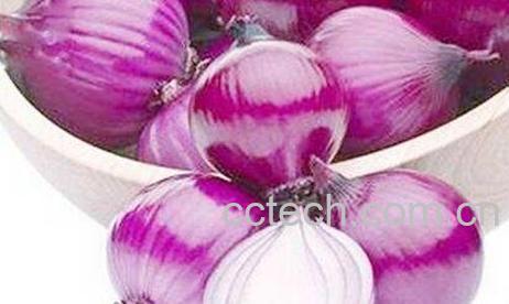 紫元葱的作用及功效-0