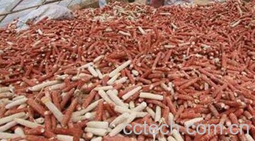 玉米核的营养价值-0