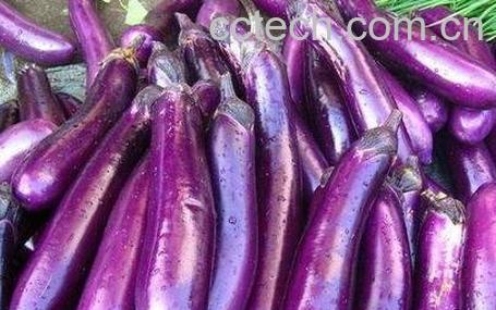 紫长茄的营养价值-0