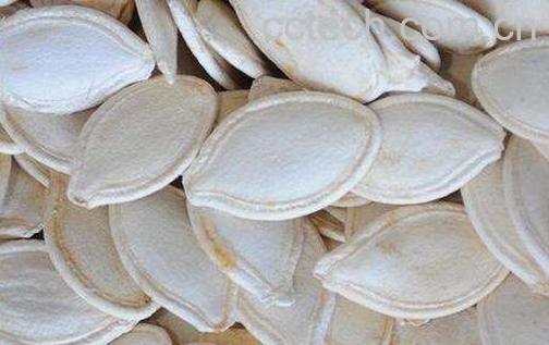 南瓜子壳的功效与作用及禁忌-0