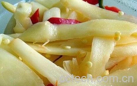 子姜和生姜有什么区别-0