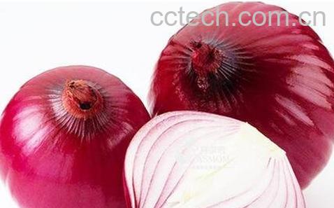 紫洋葱生吃作用与功效-0