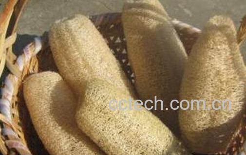 水瓜壳的功效与作用-0