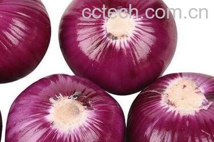 紫洋葱和黄洋葱的区别-0