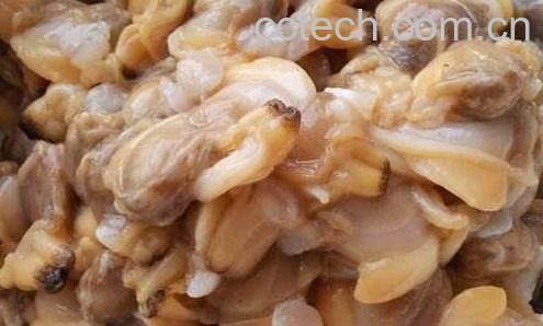 蚬子肉的营养价值 蚬子肉的功效与作用-0