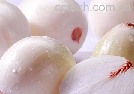 紫葱头和白葱头的区别-0