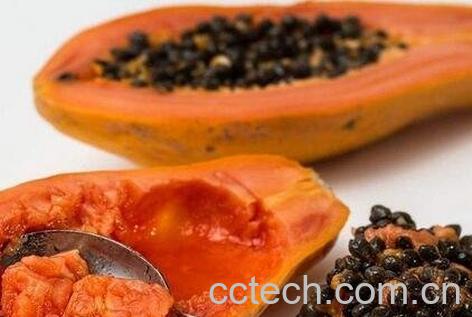 木瓜核的功效与作用及禁忌-0