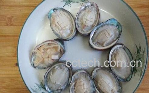 养殖鲍鱼壳的药用价值-0