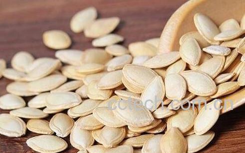 白南瓜籽的作用和功效-0