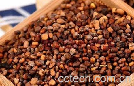 白萝卜籽的功效与作用及食用方法-0