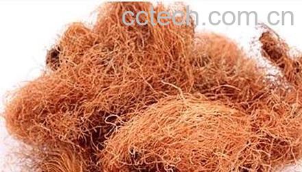 玉米须的功效与作用与用法-0