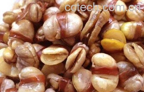 油炸蚕豆的功效与作用-0