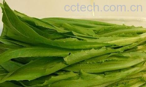 油麦籽的功效和作用-0