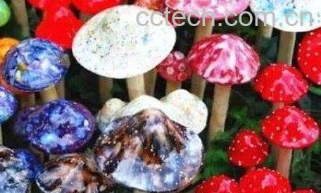 中国十大毒蘑菇-0