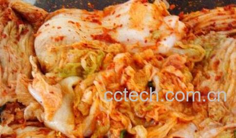 正宗朝鲜辣白菜快速腌制法-0