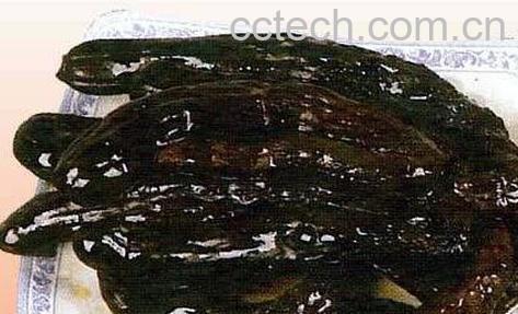 正宗酱黄瓜的腌制方法-0