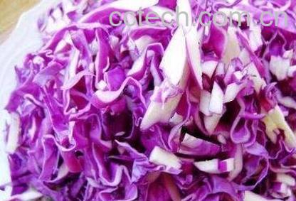 紫甘蓝和什么不能一起吃-0