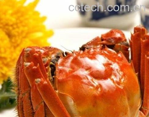 醉蟹能和牛奶一起吃吗-0