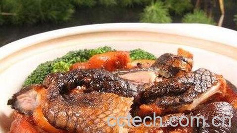 孕妇可以吃鳄鱼肉的功效-0