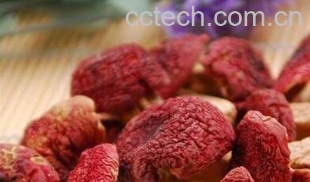 怎样分辨野生红菇真假-0