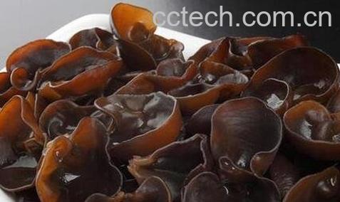 黑木耳的功效与适宜人群-0