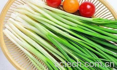 葱的妙用 葱的用途有哪些-0