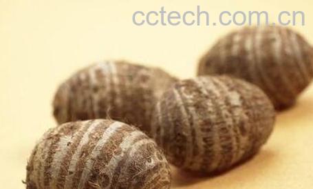 S头和什么不能一起吃-0