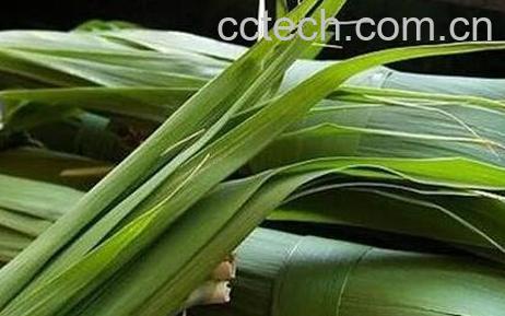粽叶的营养价值 -0