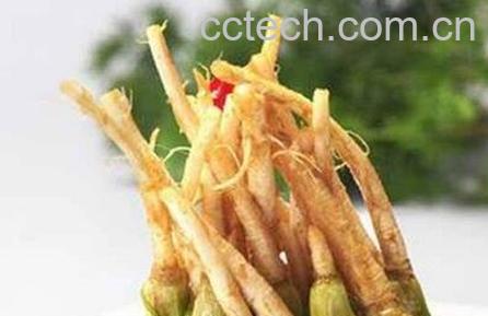 煮香菜根的功效和作用-0