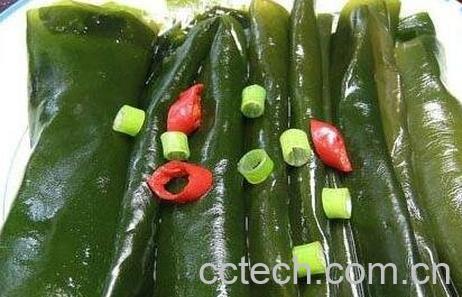 紫圆白菜能和海带一起吃吗-0