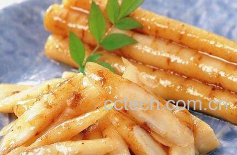 牛蒡的功效与作用与食用方法-0