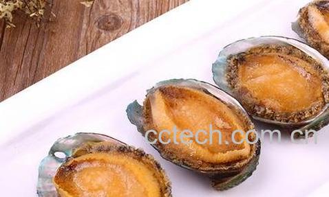 南日鲍的功效与作用-0