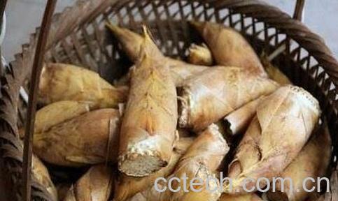 竹笋能和芋头一起吃吗-0