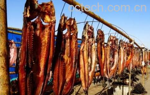 腊鱼的腌制方法-0