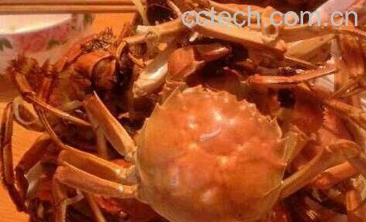 吃螃蟹以后不能吃什么-0