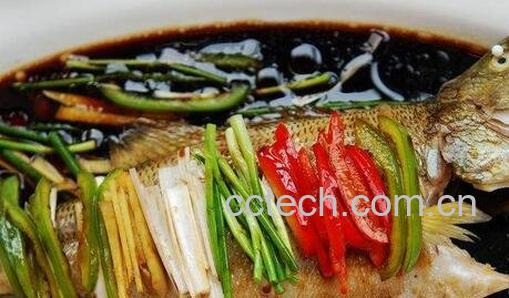 鲈鱼的营养价值 -0